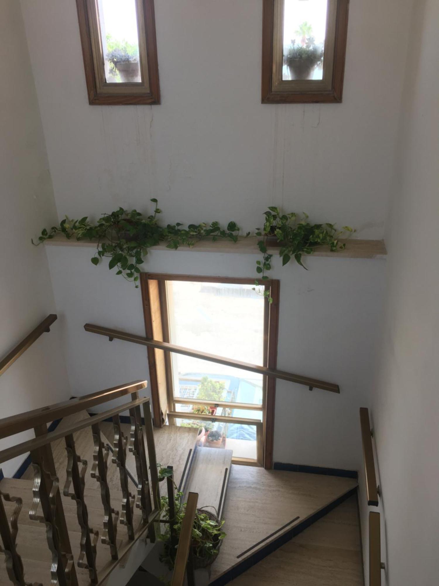 Delia Apartment Порто Чезарео Екстериор снимка